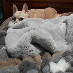 Meet your Posher, Jean